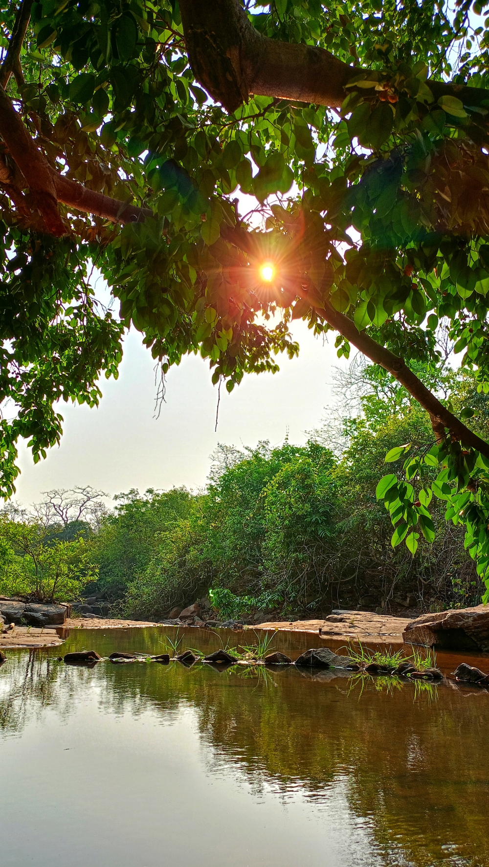 Surya ki kirne , Surya ki kirne , nature landscape background sunrays hdclicks nikongair lake reflection photos Bastar chhatishgarh sky clouds photooftheday naturephotography, wildlife HD wallpaper background picture wild animals Nature Photography tree spoteddave indianbird bastar munnabaghelphotography potooftheday Dave nationalpark kvnp forest jungle kangervalleynationalpark jagdalpur awesome birdphotography photosofbird nature gochhatishgarh chhatishgarh photo, summer tirathgarh waterfall waterfalls indianwaterfall  nationalpark kangervalleynationalpark Raipur CG forest HD wallpaper view kangervalley tirathgarh waterfall waterfalls jungle Bastar Chhattisgarh photosoftheday photo gallery wallpaper view kangervalley instapicture instagood viralpic, #nature #photography #love #instagood #photooftheday #travel #sky #beautiful #art #naturephotography #like #landscape #sunset #photo #picoftheday #instagram #sun #beach #life #winter #sea #fun #cute #clouds #happy #naturelovers #summer #bhfyp, 