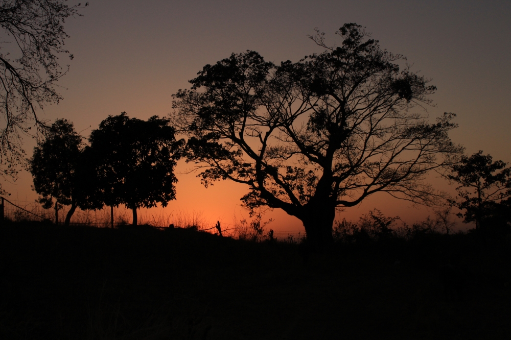 Evening, #canonclick