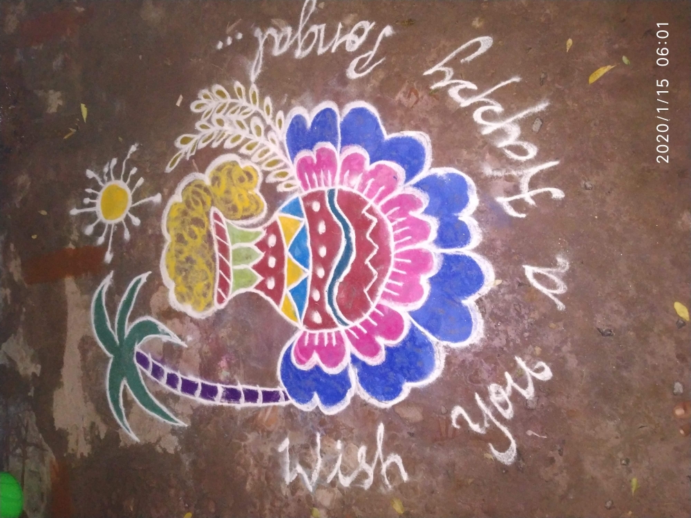 Rangoli pongal, festival, celebrartions, pongal, rangoli, 