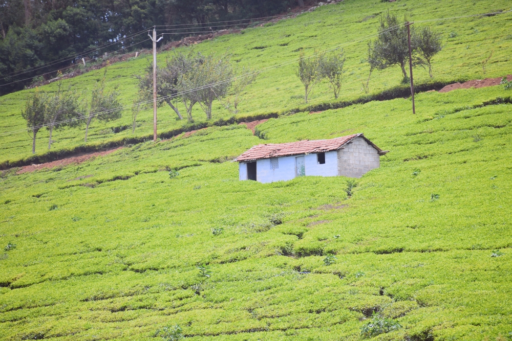 Landscape, Nature, , landscape, 