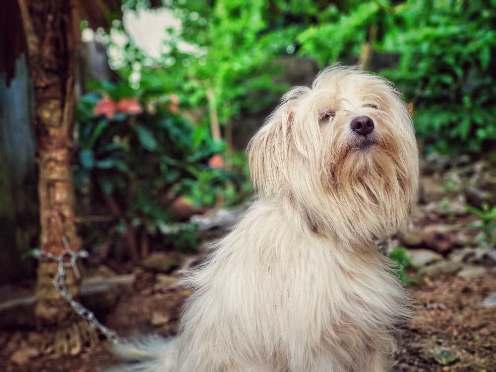 #beardman, mobile_photography, 