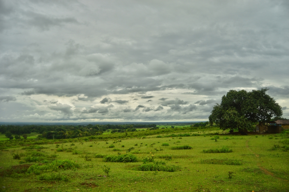 Green field , Green leafs, #Nature #background #wallpaper #hdclicks #fullHD  