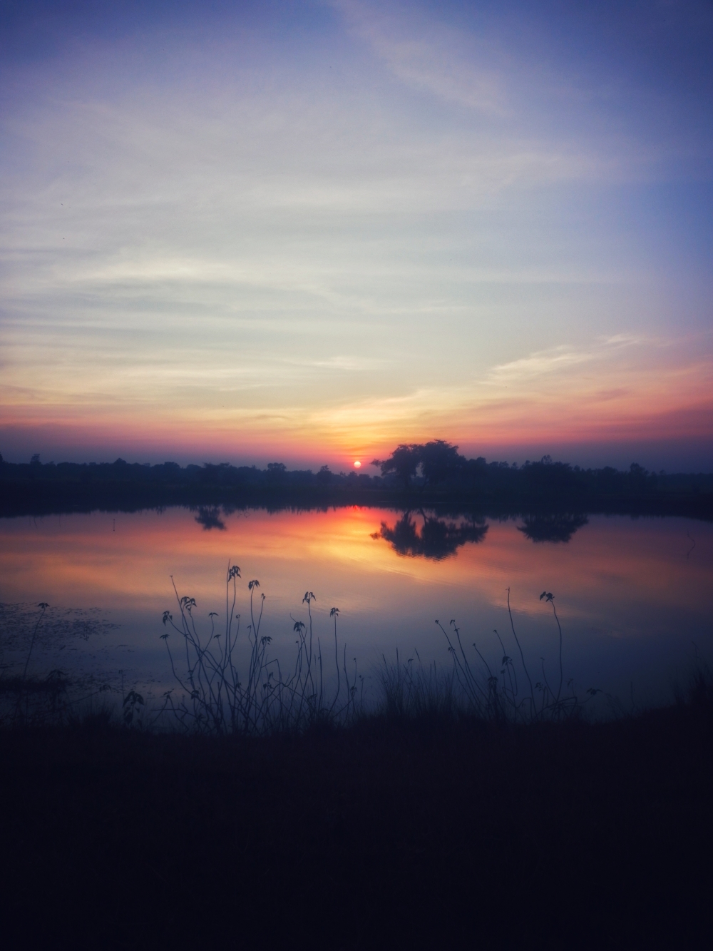 Beautiful morning view of the pond, #nature #photography #love #instagood #photooftheday #travel #sky #beautiful #art #naturephotography #like #landscape #sunset #photo #picoftheday #instagram #sun #beach #life #winter #sea #fun #cute #clouds #happy #naturelovers #summer #Springtime, 