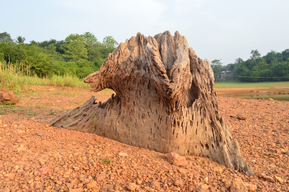 Wood, Naturl wooden Sculpture, wood, Nature, Close up, mountains, water, lake, 