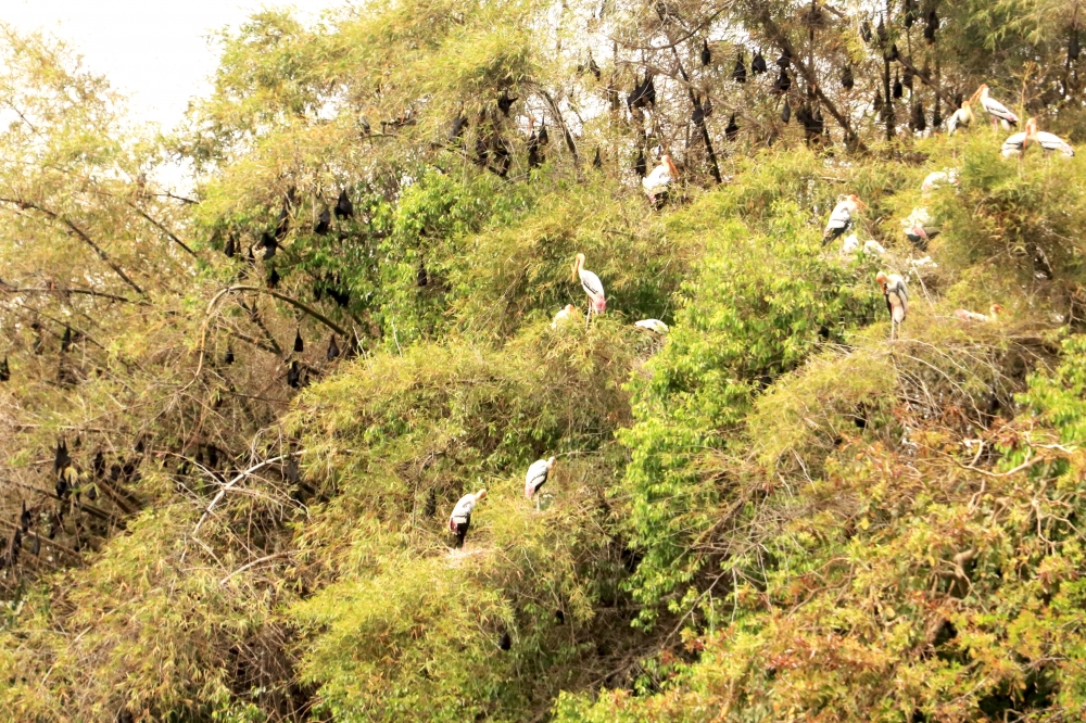 In a bid sanctuary, Landscape, birds, blue, sky, mountains, , brown, beautiful, holidays, tourism, 