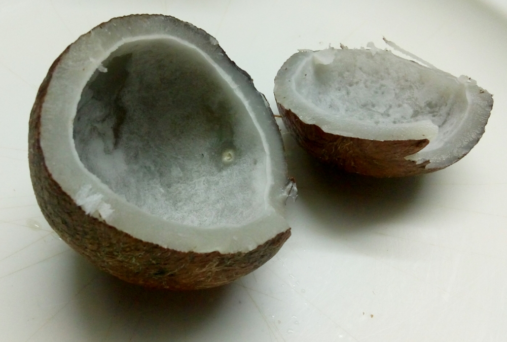 copra, food,copra,white,coconut, white