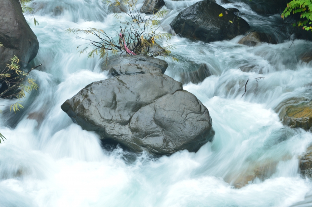River, Nature, landscape, River, water, rock, plant, 