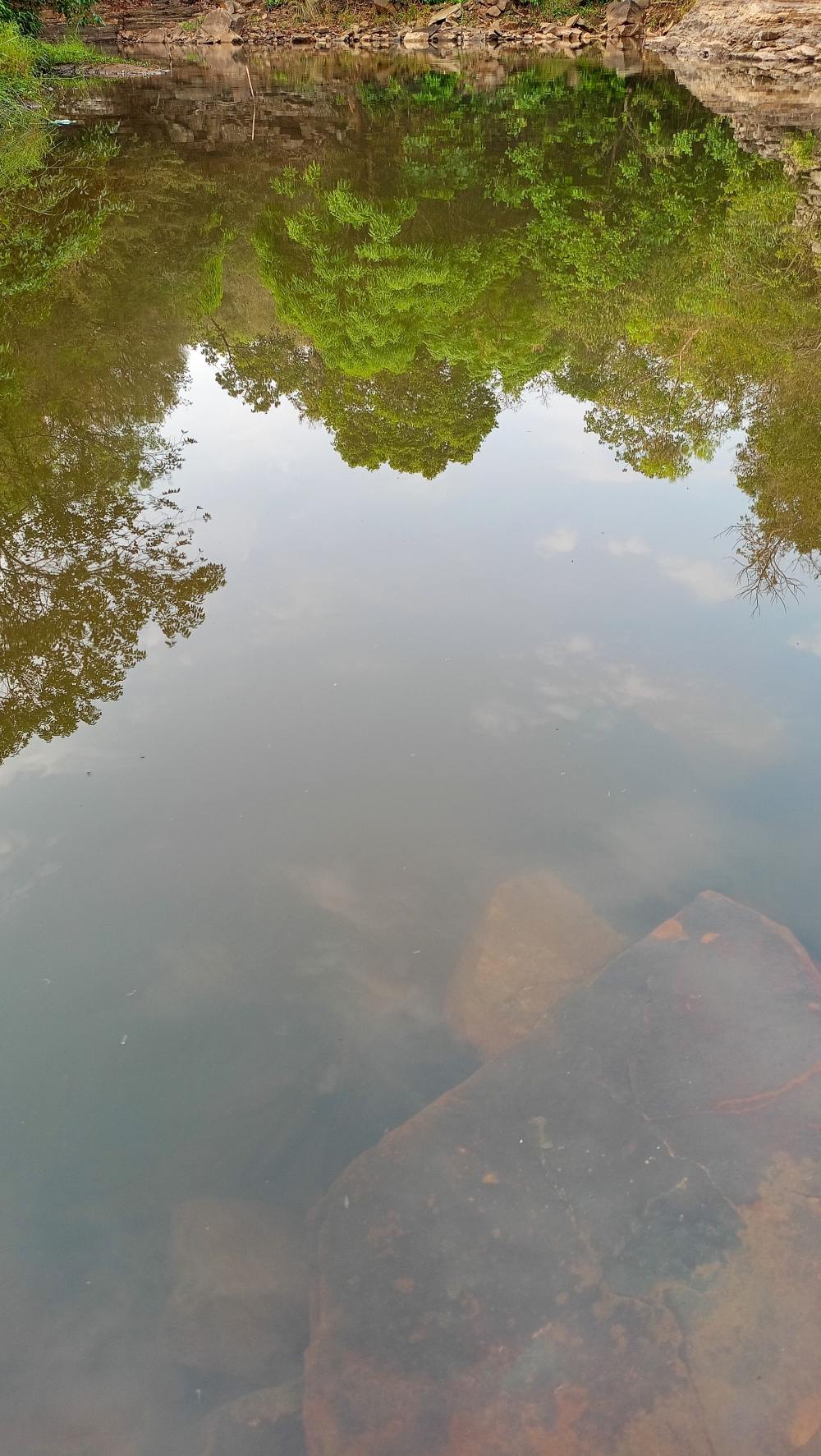 Beautiful panoramic reflection of trees in water , nature landscape background sunrays hdclicks nikongair lake reflection photos Bastar chhatishgarh sky clouds photooftheday naturephotography, wildlife HD wallpaper background picture wild animals Nature Photography tree spoteddave indianbird bastar munnabaghelphotography potooftheday Dave nationalpark kvnp forest jungle kangervalleynationalpark jagdalpur awesome birdphotography photosofbird nature gochhatishgarh chhatishgarh photo, summer tirathgarh waterfall waterfalls indianwaterfall  nationalpark kangervalleynationalpark Raipur CG forest HD wallpaper view kangervalley tirathgarh waterfall waterfalls jungle Bastar Chhattisgarh photosoftheday photo gallery wallpaper view kangervalley instapicture instagood viralpic, #nature #photography #love #instagood #photooftheday #travel #sky #beautiful #art #naturephotography #like #landscape #sunset #photo #picoftheday #instagram #sun #beach #life #winter #sea #fun #cute #clouds #happy #naturelovers #summer #bhfyp, 