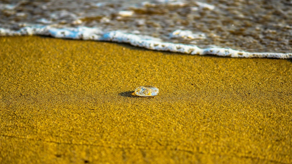 Crystal shine, #beach#beachlove#crystal#seashore#shine#plesant#sunnyday#peace