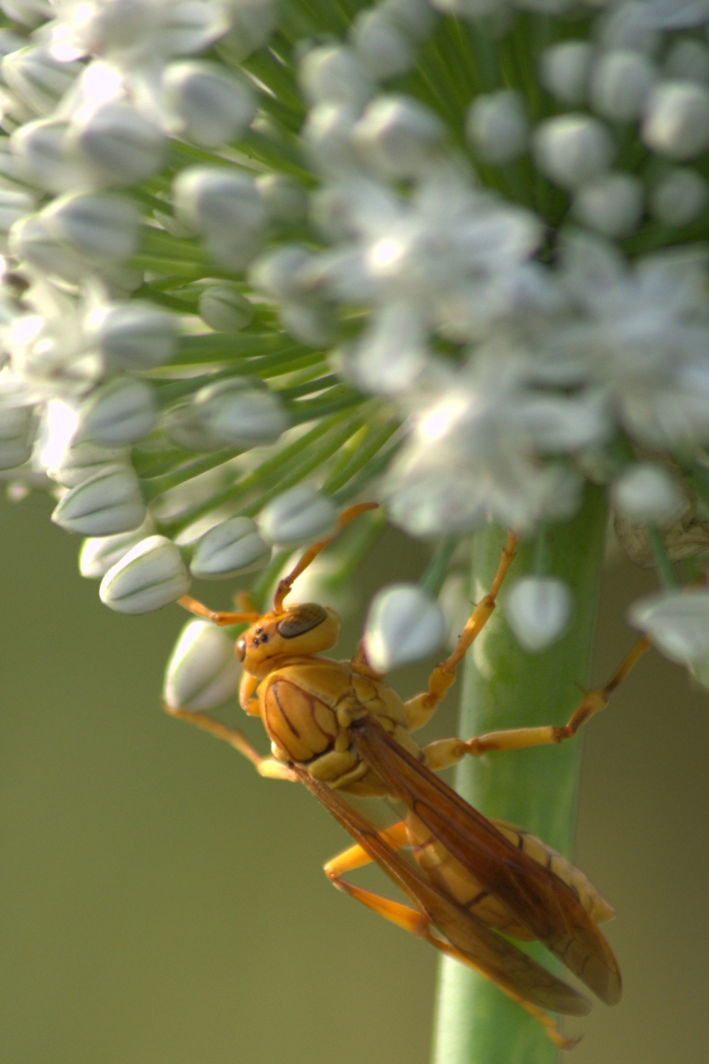 attracted, nikon d800