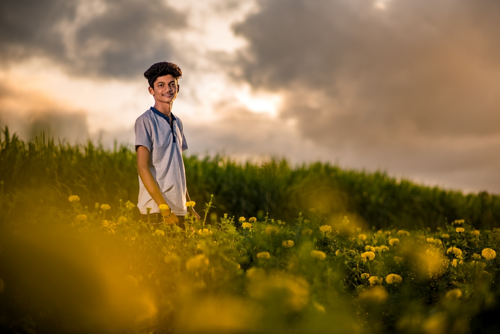 shine, background, nature, sunset, light, golden light, boy, people, place, outdoor, fashion, flowers
