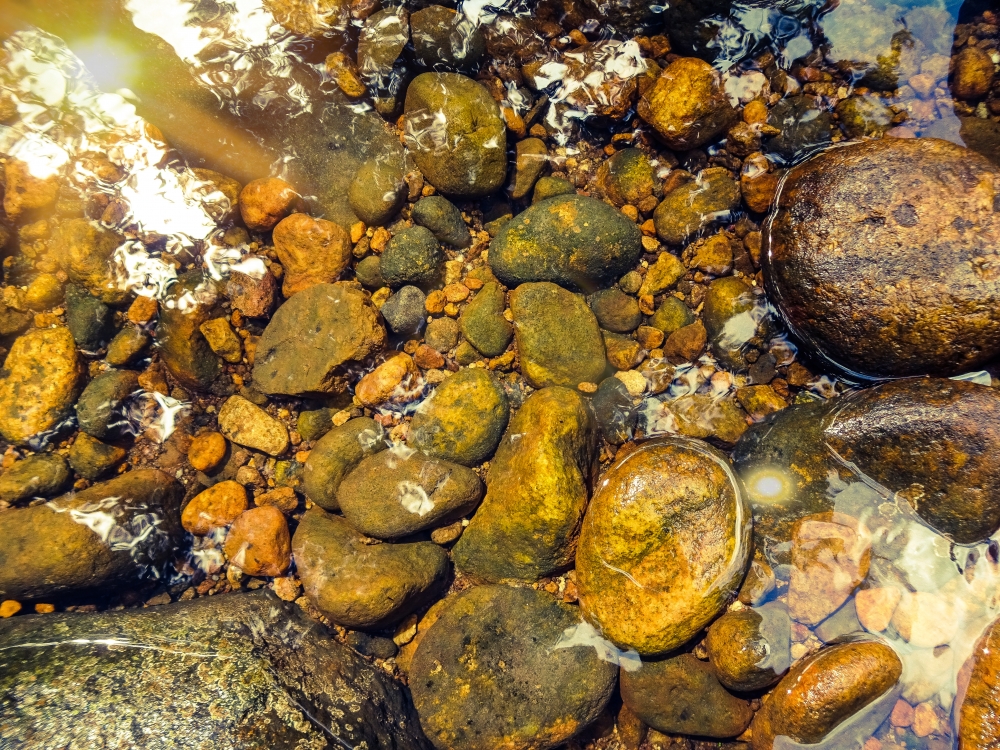 Water, Water, Nature
