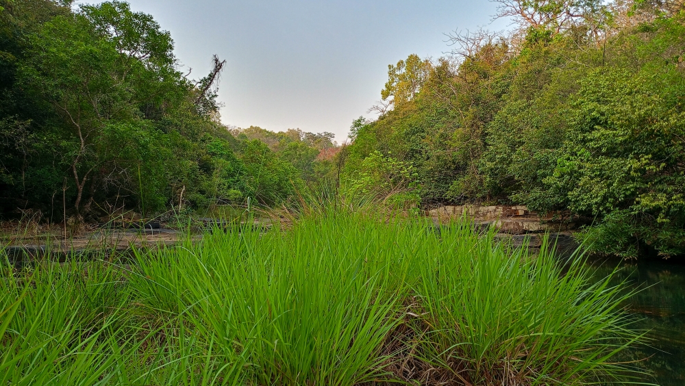 Summer season view of Kunduru river 2, nature landscape background sunrays hdclicks nikongair lake reflection photos Bastar chhatishgarh sky clouds photooftheday naturephotography, wildlife HD wallpaper background picture wild animals Nature Photography tree spoteddave indianbird bastar munnabaghelphotography potooftheday Dave nationalpark kvnp forest jungle kangervalleynationalpark jagdalpur awesome birdphotography photosofbird nature gochhatishgarh chhatishgarh photo, summer tirathgarh waterfall waterfalls indianwaterfall  nationalpark kangervalleynationalpark Raipur CG forest HD wallpaper view kangervalley tirathgarh waterfall waterfalls jungle Bastar Chhattisgarh photosoftheday photo gallery wallpaper view kangervalley instapicture instagood viralpic, #nature #photography #love #instagood #photooftheday #travel #sky #beautiful #art #naturephotography #like #landscape #sunset #photo #picoftheday #instagram #sun #beach #life #winter #sea #fun #cute #clouds #happy #naturelovers #summer #bhfyp, 