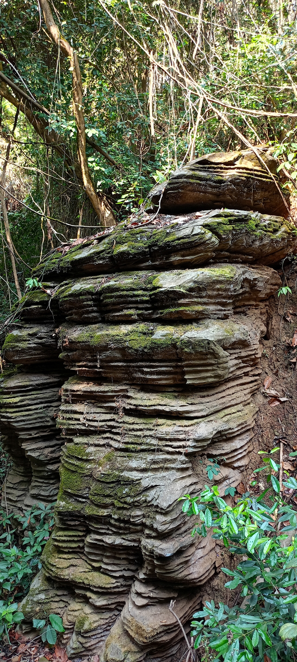 big stone , big stone , Nature background wallpaper hdclicks fullHD landscape limestonecaves wild bastar chhatishgarh kangervalleynationalpark kvnp, wildlife HD wallpaper background picture wild animals Nature Photography tree spoteddave indianbird bastar munnabaghelphotography potooftheday Dave nationalpark kvnp forest jungle kangervalleynationalpark jagdalpur awesome birdphotography photosofbird nature gochhatishgarh chhatishgarh photo, summer tirathgarh waterfall waterfalls indianwaterfall  nationalpark kangervalleynationalpark Raipur CG forest HD wallpaper view kangervalley tirathgarh waterfall waterfalls jungle Bastar Chhattisgarh photosoftheday photo gallery wallpaper view kangervalley instapicture instagood viralpic, #nature #photography #love #instagood #photooftheday #travel #sky #beautiful #art #naturephotography #like #landscape #sunset #photo #picoftheday #instagram #sun #beach #life #winter #sea #fun #cute #clouds #happy #naturelovers #summer #bhfyp, 