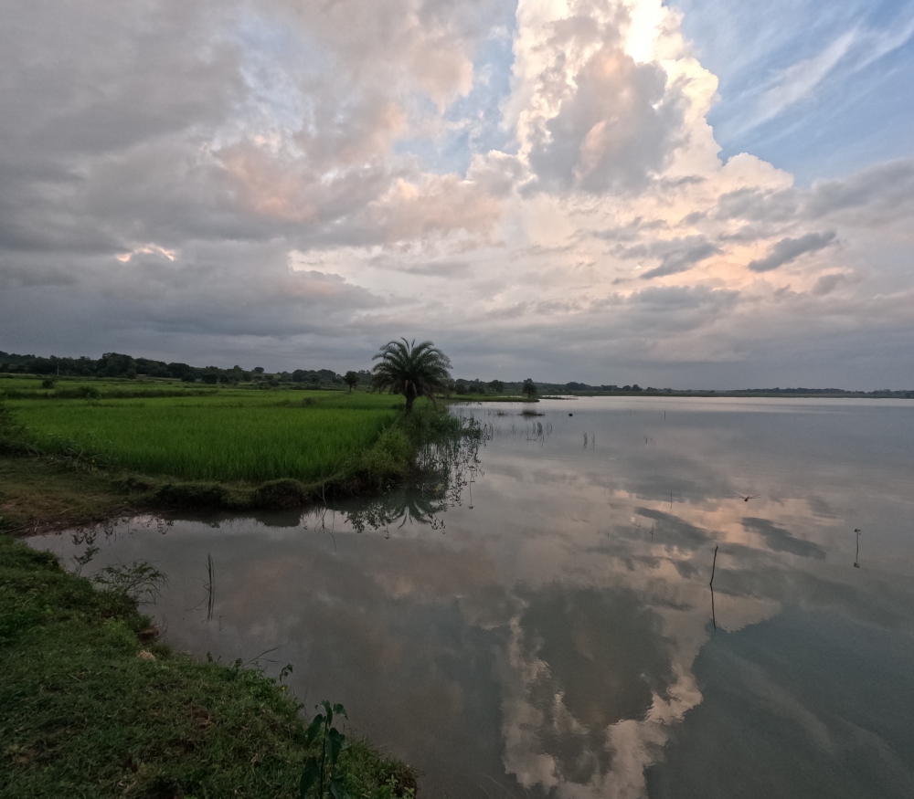 Mansoon session , water droplets, Nature, Photography, 