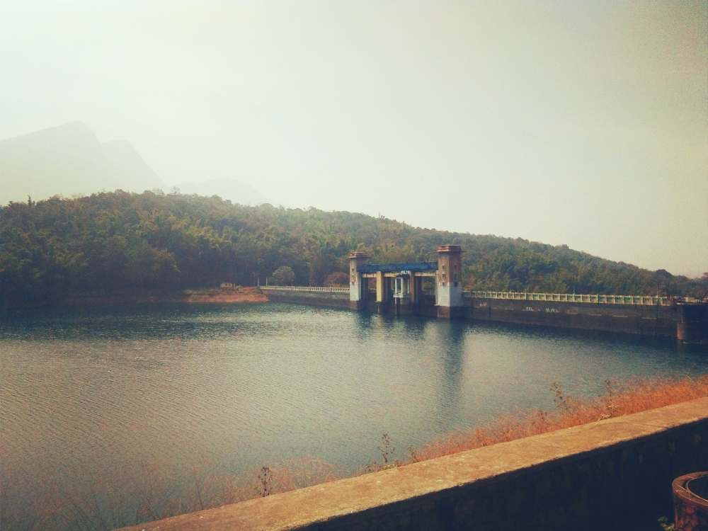 Dam, Nature, forest, water, dam