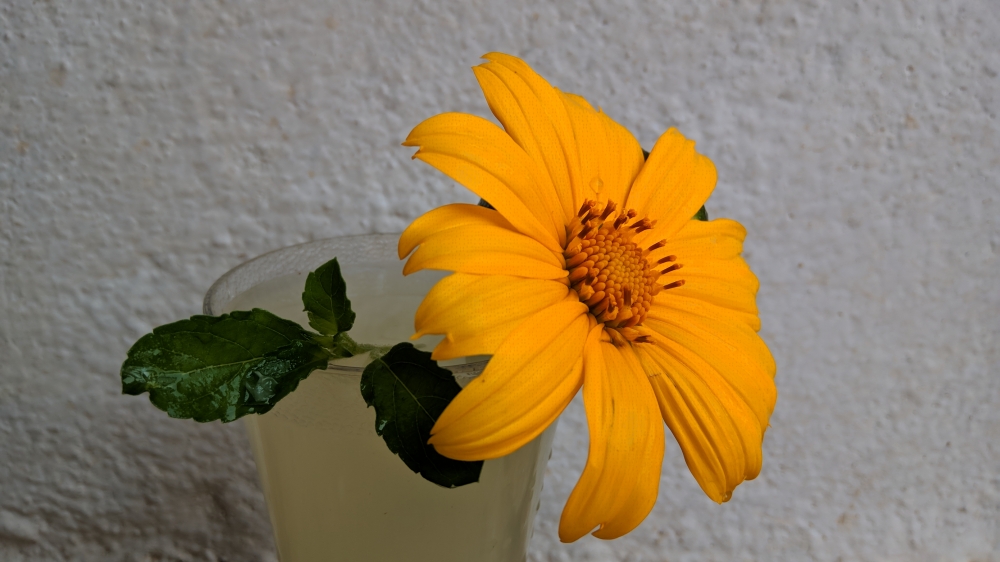 Flower with lemon juice, #Nature #background #wallpaper #hdclicks #fullHD#fksayyad @f.k.sayyad, 