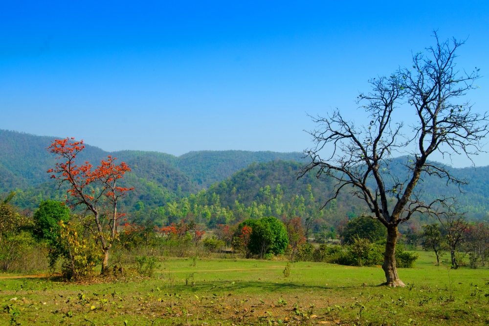 Lendscape, #pgclick, #nature #photography #love #instagood #photooftheday #travel #sky #beautiful #art #naturephotography #like #landscape #sunset #photo #picoftheday #instagram #sun #beach #life #winter #sea #fun #cute #clouds #happy #naturelovers #summer #bhfyp, 