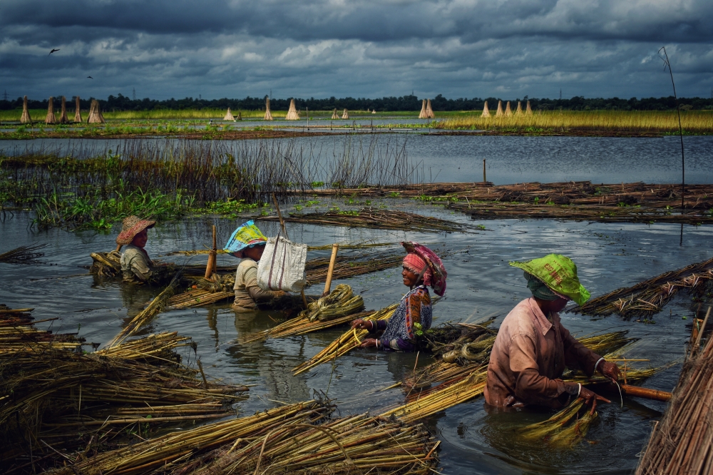 Working together in Unity, Nature, travel, landscape, unity, workingwoman, 