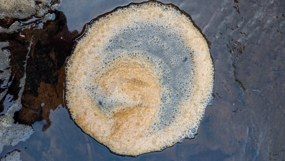 Jhaakh made of water , nature landscape background sunrays hdclicks nikongair lake reflection photos Bastar chhatishgarh sky clouds photooftheday naturephotography, wildlife HD wallpaper background picture wild animals Nature Photography tree spoteddave indianbird bastar munnabaghelphotography potooftheday Dave nationalpark kvnp forest jungle kangervalleynationalpark jagdalpur awesome birdphotography photosofbird nature gochhatishgarh chhatishgarh photo, summer tirathgarhwaterfall tirathgarh waterfall waterfalls indianwaterfall nationalpark kangervalleynationalpark Raipur Chhattisgarh photosoftheday photo gallery wallpaper view kangervalley instapicture instagood viralpic forest HD quality image Bastardistrict photography, #nature #photography #love #instagood #photooftheday #travel #sky #beautiful #art #naturephotography #like #landscape #sunset #photo #picoftheday #instagram #sun #beach #life #winter #sea #fun #cute #clouds #happy #naturelovers #summer #bhfyp, 