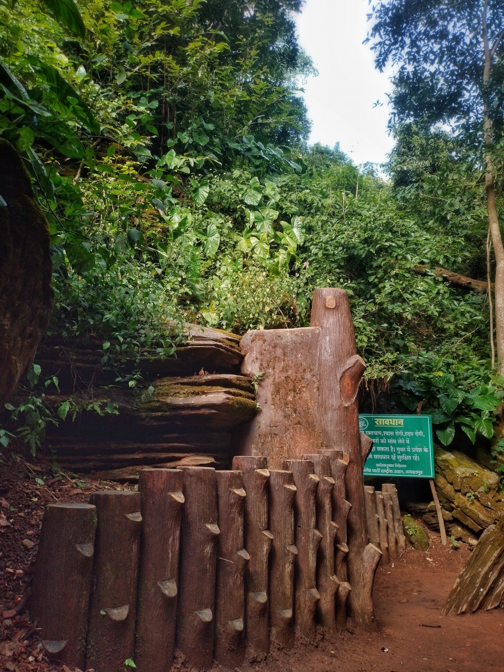 Kotamsar Cave Gate , #nature #photography #love #instagood #photooftheday #travel #sky #beautiful #art #naturephotography #like #landscape #sunset #photo #picoftheday #instagram #sun #beach #life #winter #sea #fun #cute #clouds #happy #naturelovers #summer #bhfyp, wildlife HD wallpaper background picture wild animals Nature Photography tree spoteddave indianbird bastar munnabaghelphotography potooftheday Dave nationalpark kvnp forest jungle kangervalleynationalpark jagdalpur awesome birdphotography photosofbird nature gochhatishgarh chhatishgarh photo, 