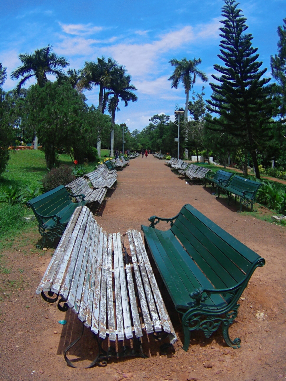 Nature, #nature #photography #love #instagood #photooftheday #travel #sky #beautiful #art #naturephotography #like #landscape #sunset #photo #picoftheday #instagram #sun #beach #life #winter #sea #fun #cute #clouds #happy #naturelovers #summer #bhfyp, #spider #photograph #macroshoot, #vintage #baground #photoframe #travel, #Nature #background #wallpaper #hdclicks #fullHD#fksayyad @f.k.sayyad, 