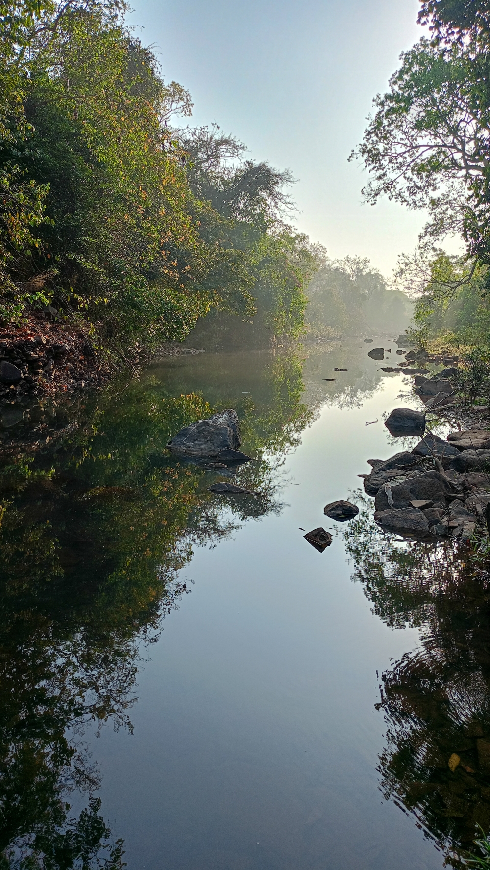 Kanger river kangervalleynationalpark jagdalpur , wildlife HD wallpaper background picture wild animals Nature Photography tree spoteddave indianbird bastar munnabaghelphotography potooftheday Dave nationalpark kvnp forest jungle kangervalleynationalpark jagdalpur awesome birdphotography photosofbird nature gochhatishgarh chhatishgarh photo, nature landscape background hdclicks fishing wallpaper people stock Fisherman photos photooftheday Bastar kangervalleynationalpark kvnp nationalpark naturephotography Munnabaghel_photography, summer tirathgarh waterfall waterfalls indianwaterfall  nationalpark kangervalleynationalpark Raipur CG forest HD wallpaper view kangervalley tirathgarh waterfall waterfalls jungle Bastar Chhattisgarh photosoftheday photo gallery wallpaper view kangervalley instapicture instagood viralpic, #nature #photography #love #instagood #photooftheday #travel #sky #beautiful #art #naturephotography #like #landscape #sunset #photo #picoftheday #instagram #sun #beach #life #winter #sea #fun #cute #clouds #happy #naturelovers #summer #bhfyp, river  munghabaharrivar nature, 