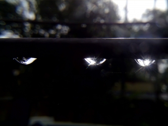 raindrops after rain in the darkness