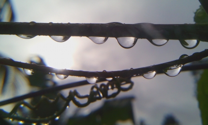 raindrops