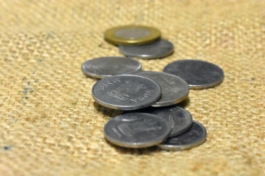 Indian Coins in Structure