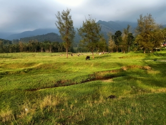 Green nature, Kariyathumpara, Kakkayam,Calicut, Tourism