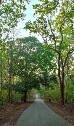 Tirathgarh road 