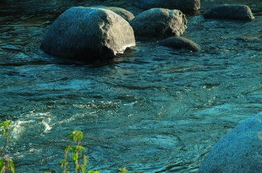 view of river in the morning